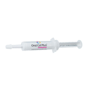 Oral Cal Plus