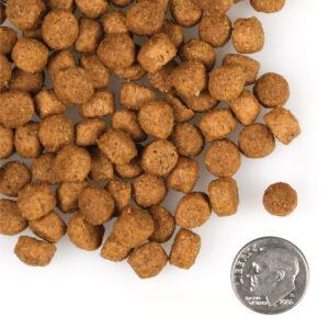 tile oop kibble gold dog dry large breed puppy gold