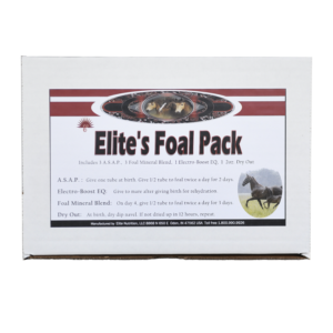 foal-pack