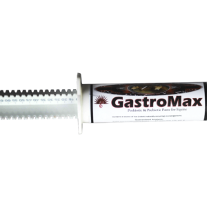 gastro-max