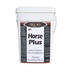 horse-plus