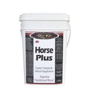 horse-plus