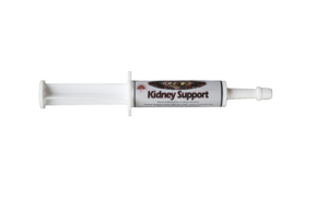 kidney-support