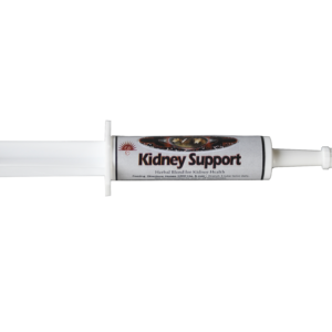 kidney-support