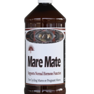 mare-mate